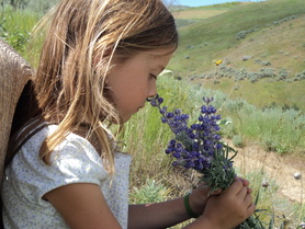 Calli enjoying the flowers at BoulderCrest Ranch