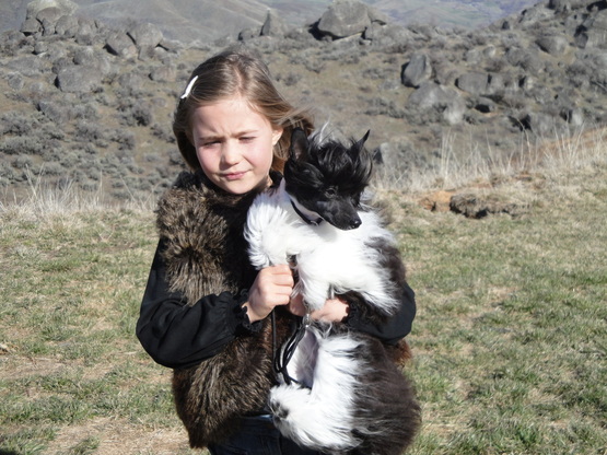 Tori age 10 with Clea 9 months ~ Legacy  Powderpuffs at BoulderCrest Ranch