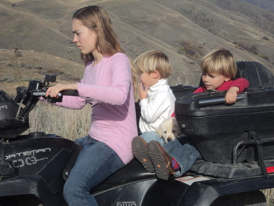 Kids and puppy go for a ride at BoulderCrest Ranch ~  Legacy Labradors