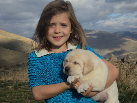 Calli with Brody puppy ~  Legacy Labradors at BoulderCrest