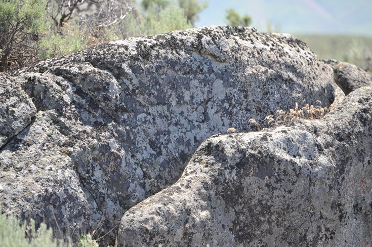 Rocks at BoulderCrest Ranch