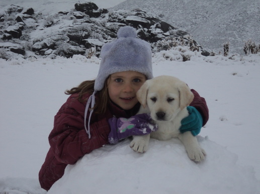 Calli with Brody puppy ~  Legacy Labradors at BoulderCrest