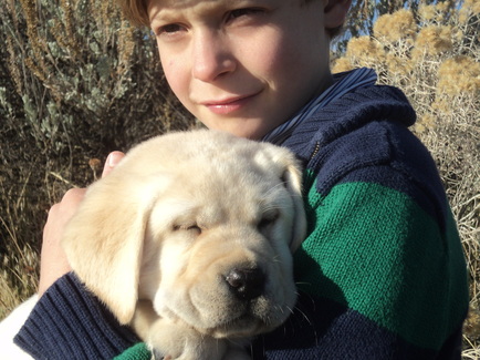 Alex with Brody pup ~  Legacy Labradors at BoulderCrest