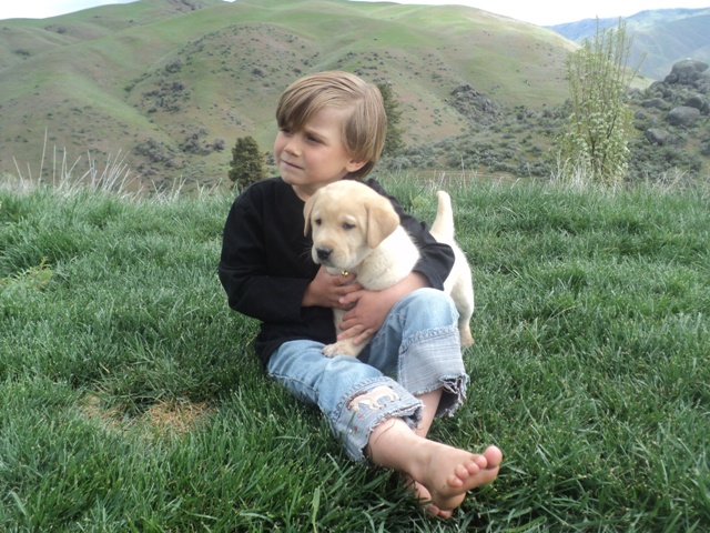 Caleb with Brody x Bella puppy at BoulderCrest Ranch ~  Legacy Labradors