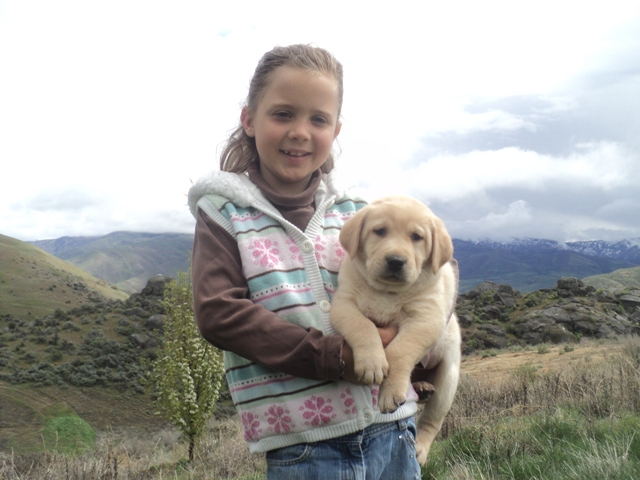 Calli with Brody x Bella puppy at BoulderCrest Ranch ~  Legacy Labradors