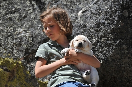 Calli with on adored Legacy Labradors puppy at BoulderCrest Ranch
