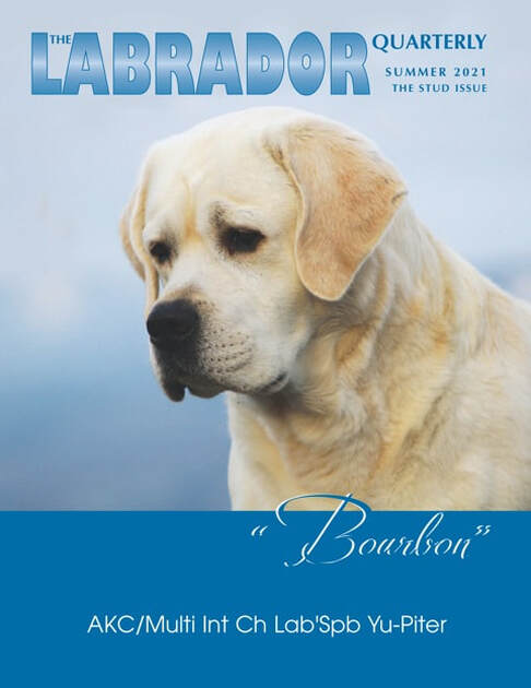 Bourbon Cover Labrador Quarterly English Labradors at BoulderCrest Ranch
