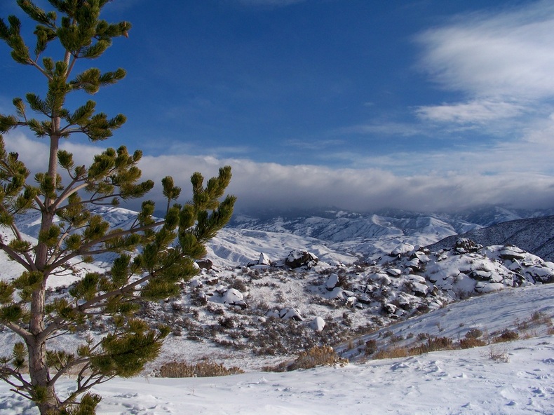 Snow has fallen at BoulderCrest Ranch