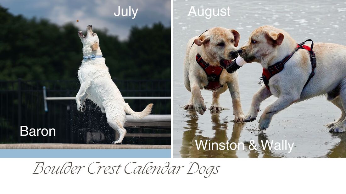 Baron, Winston and Wally Calendar Boys 2024