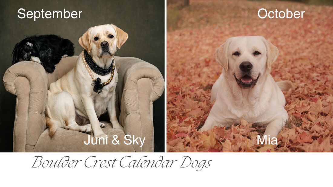 Junie. Skye and Mia BoulderCrest Ranch Calendar Girls